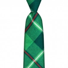 Tartan Tie - Galloway Hunting Modern